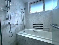 Dahlia Park Condominium (D17), Condominium #576696241